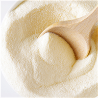 Buttermilk Powder